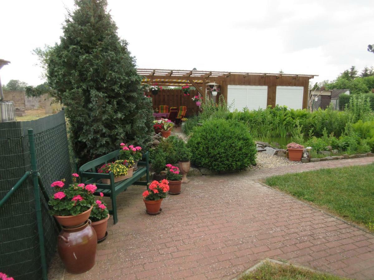 Ferienwohnung Rogge Stendal Buitenkant foto